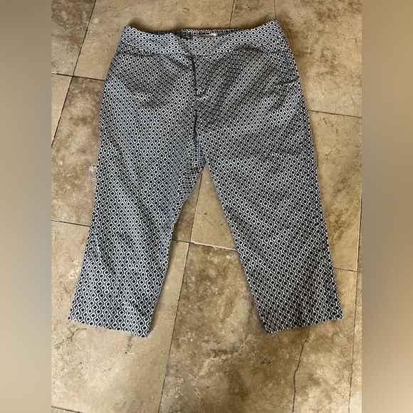 Coldwater Creek natural fit Capri Lady size 14 excellent condition - Picture 9 of 14